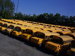 line of buses