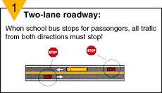 passing stopped school bus